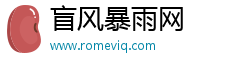盲风暴雨网